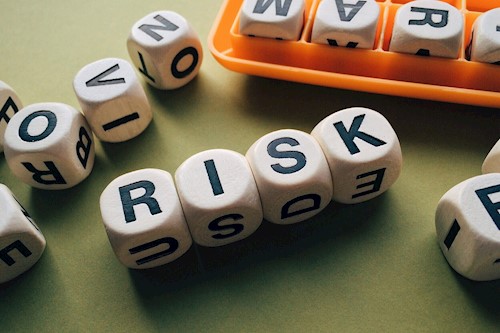 Risk management